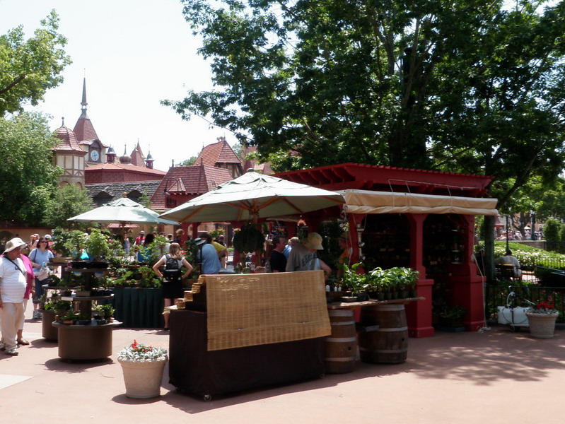 55P4241855.jpg