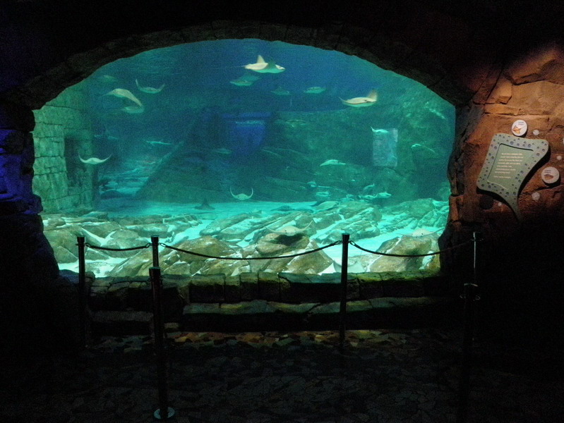 56P4191558.jpg