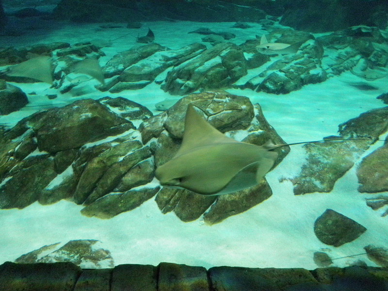 57P4191559.JPG