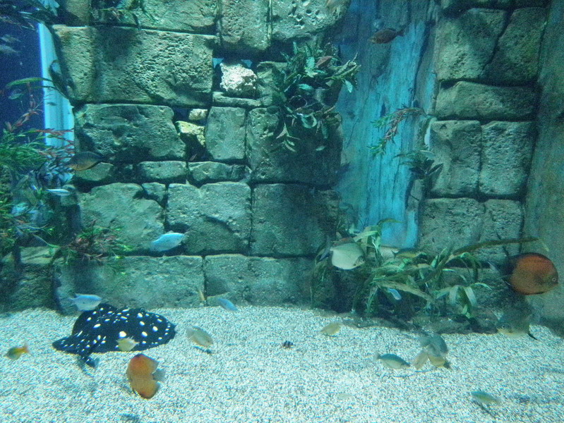 59P4272324.jpg
