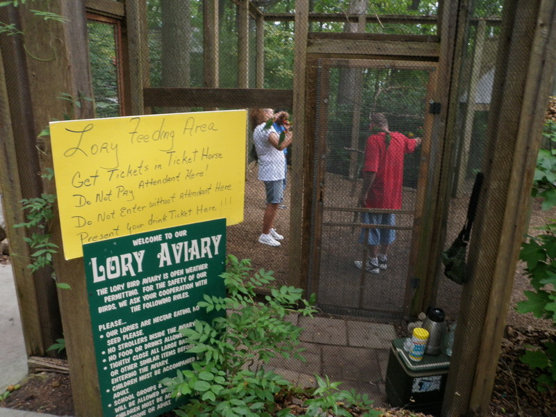 60P5145379.JPG