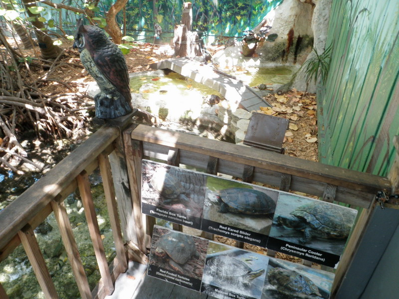 62P4229844.JPG
