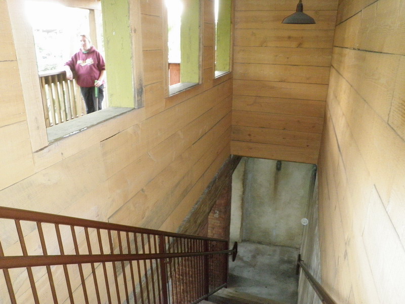 64P1253535.JPG