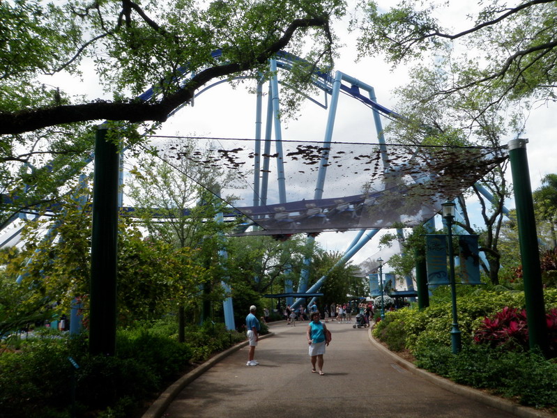 64P4130969.jpg