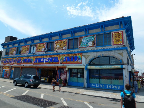 66.jpg