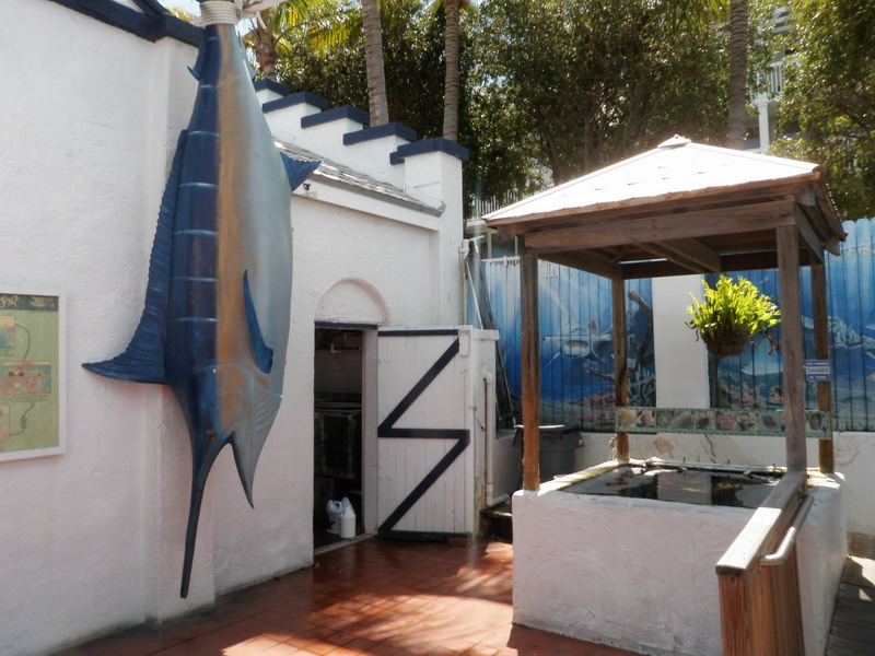 72P4229869.JPG