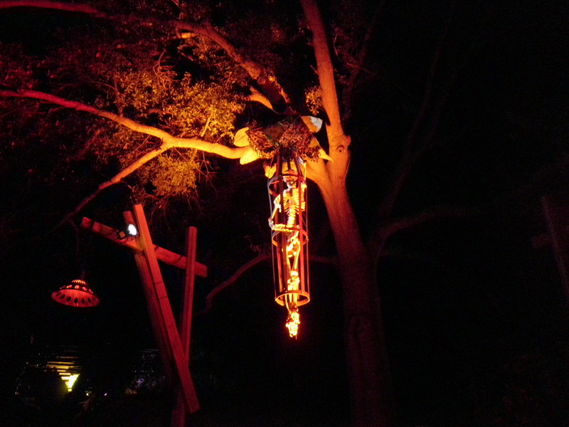 73P9250760.JPG