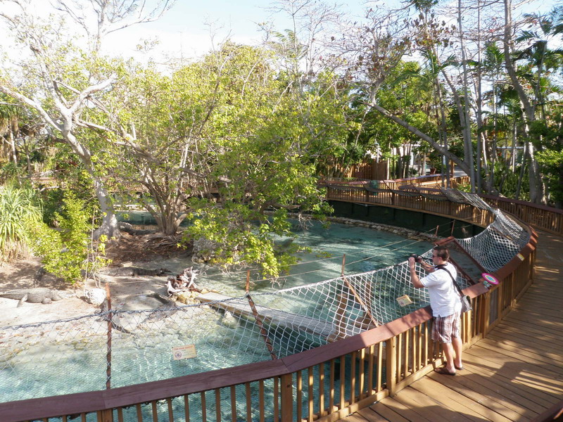 74P2185667.JPG