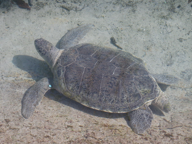 75P2185680.JPG