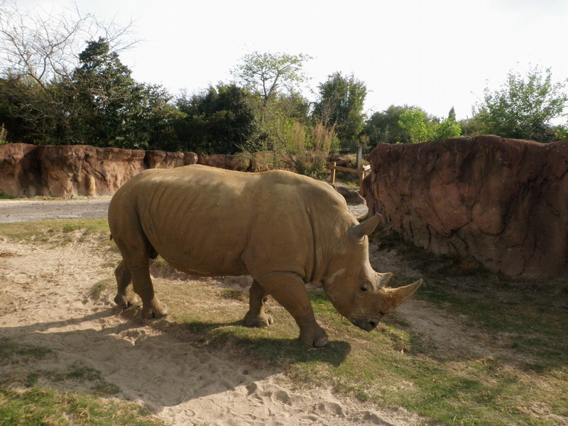 75P3132970.JPG