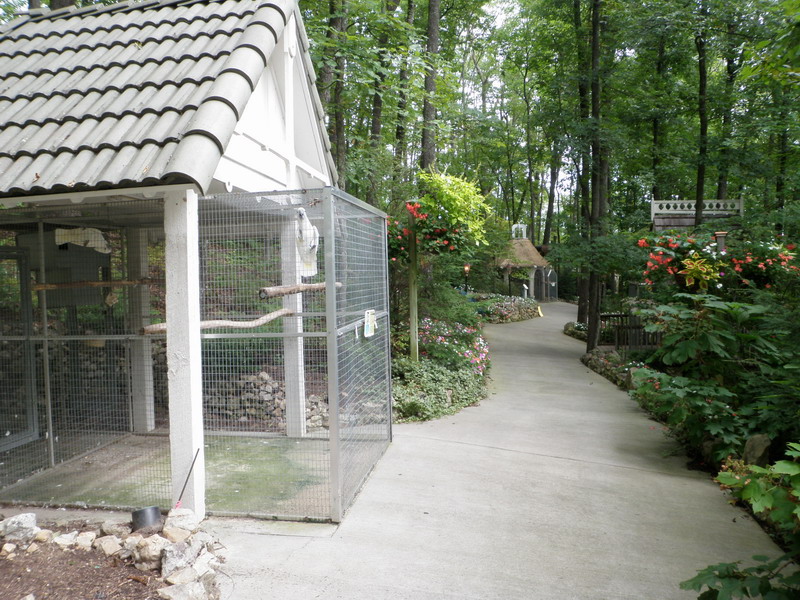 78P5145446.JPG