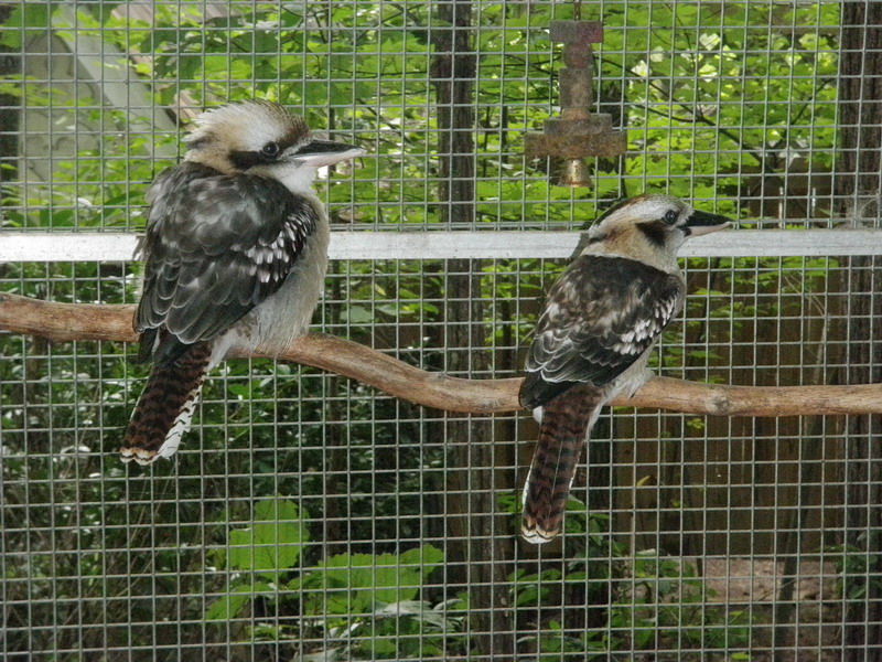 80P5145437.JPG