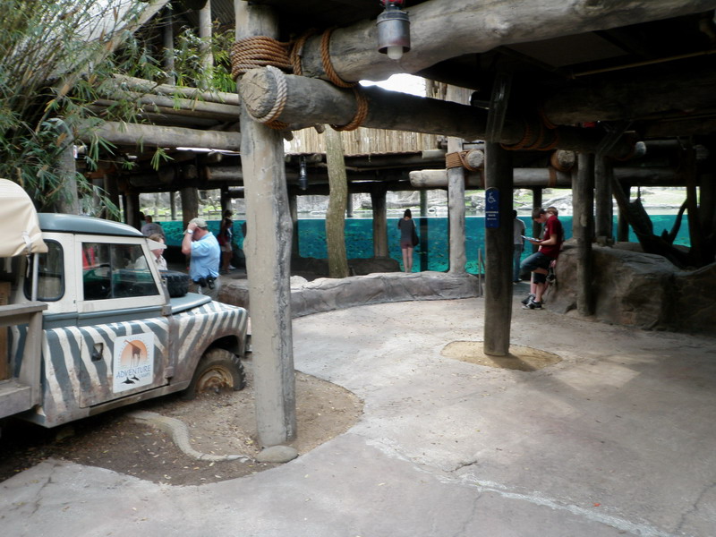 82P3132813.JPG