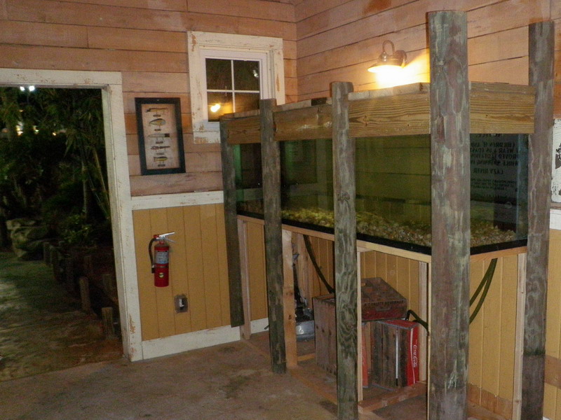 82P3278349.jpg