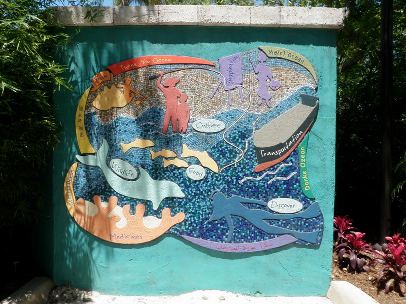 82P4272270.jpg