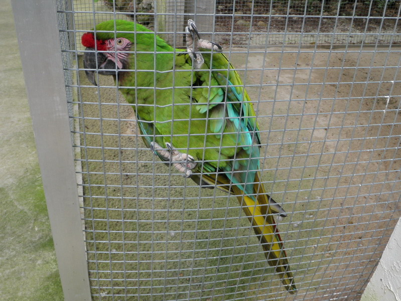 82P5145448.jpg