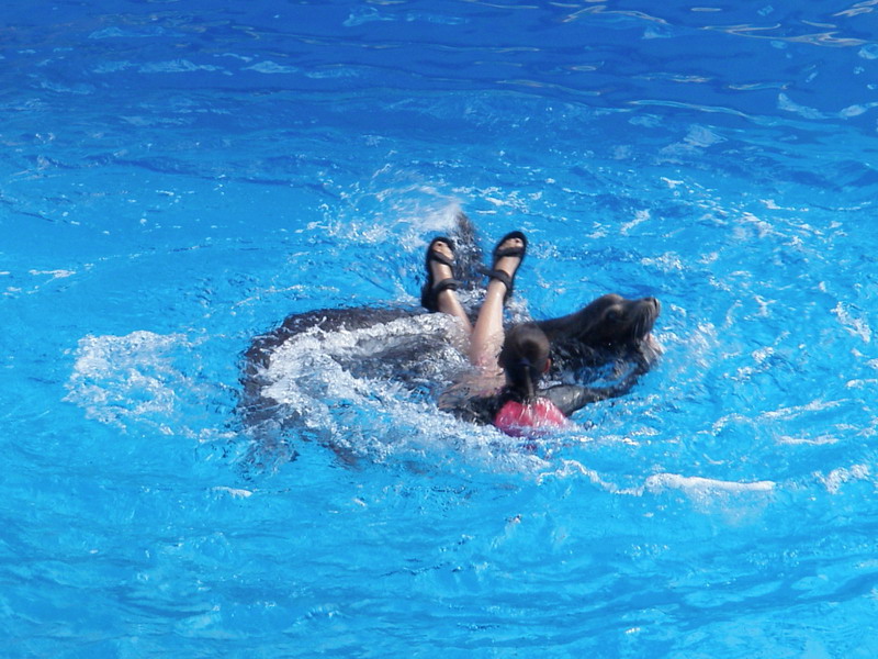 84P2185889.JPG
