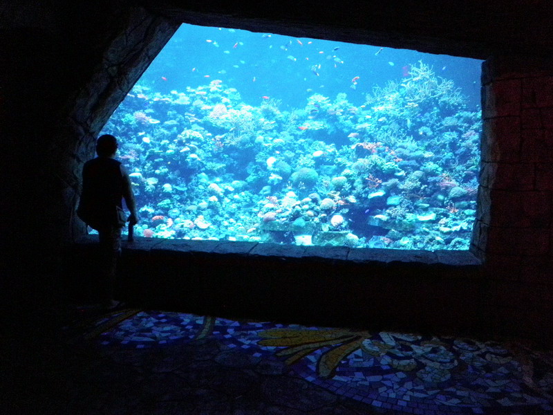 84P5022706.JPG