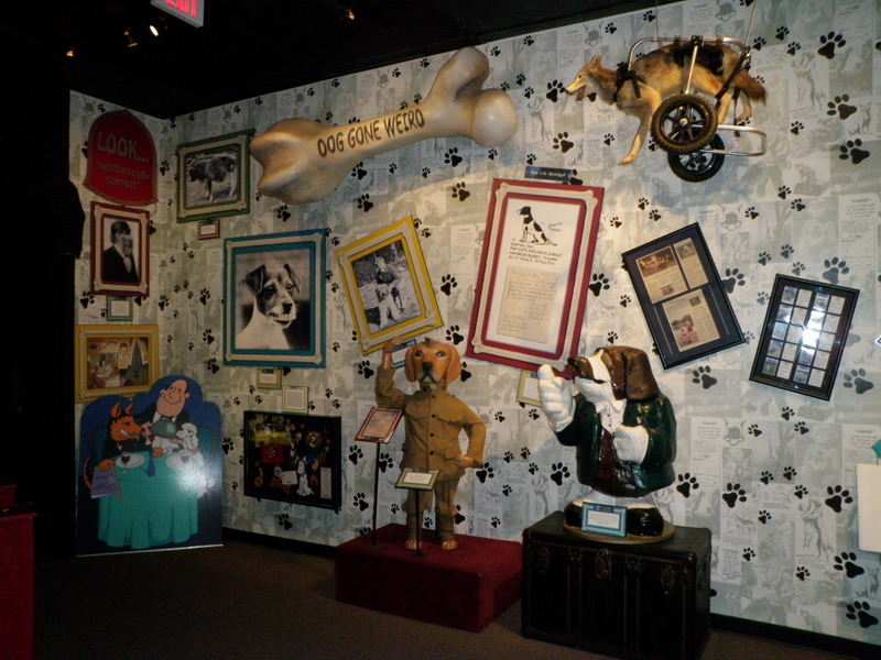 84PA080953.JPG