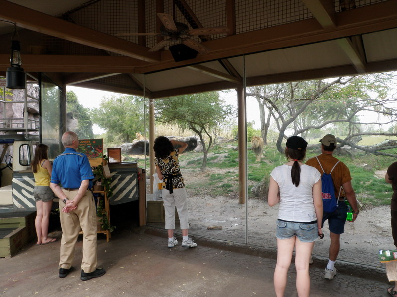 85P3132839.JPG