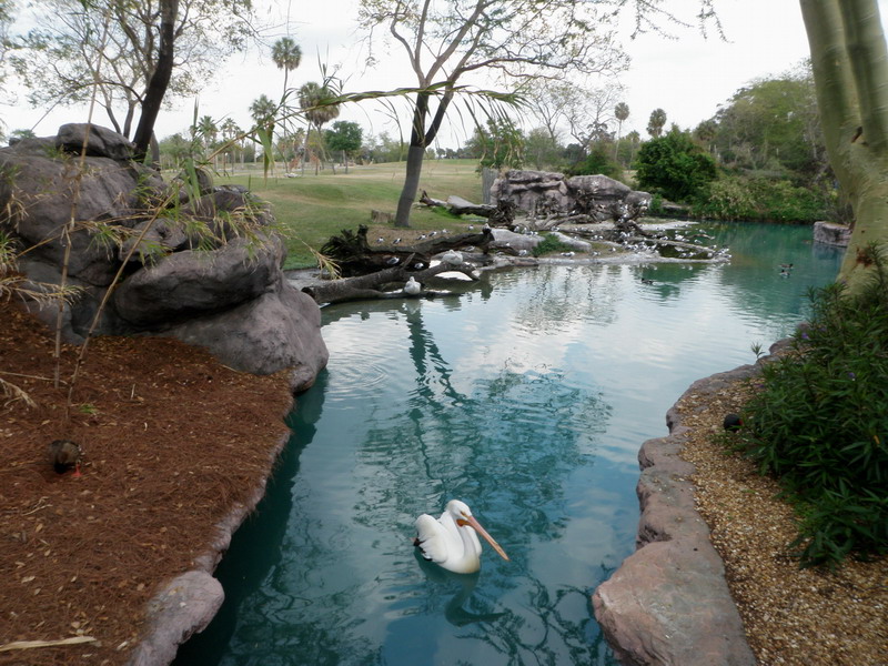 88P3132850.JPG