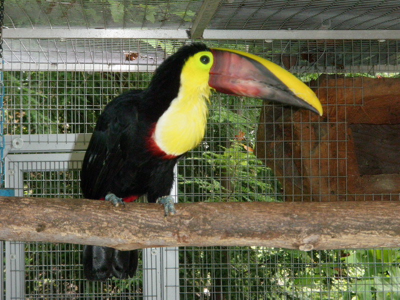 88P5145463.JPG