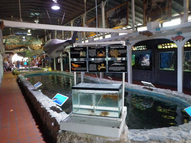 92P4229764.JPG