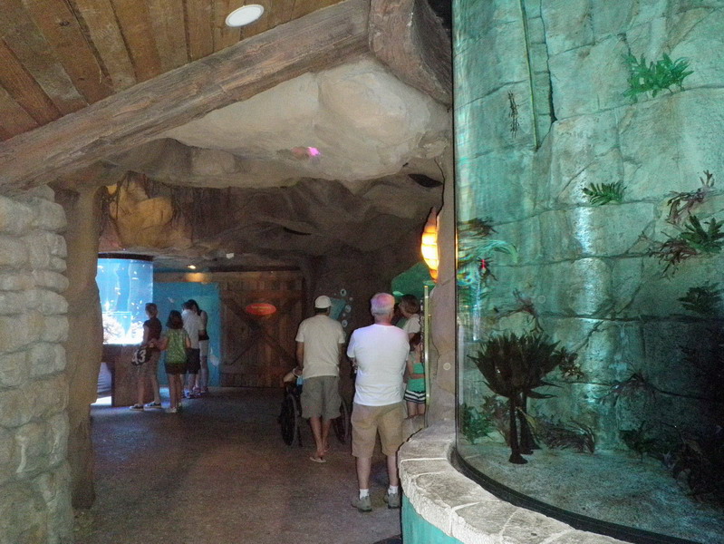 92P4272292.jpg