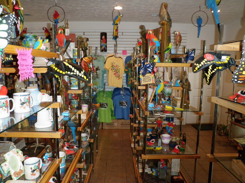92P5145480.JPG