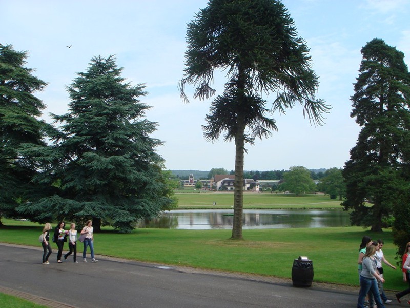 Alton13.JPG