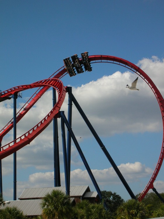 bgt10303.jpg