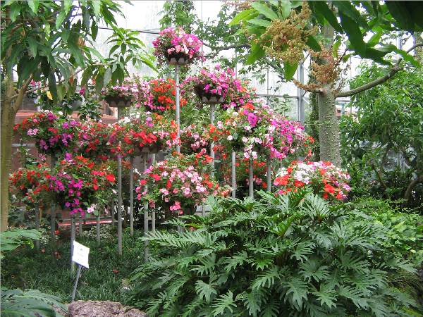 Bonfante Gardens Bonfante Gardens