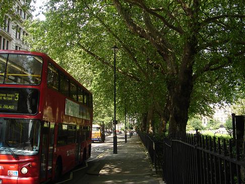 Bus and Parkweb.JPG