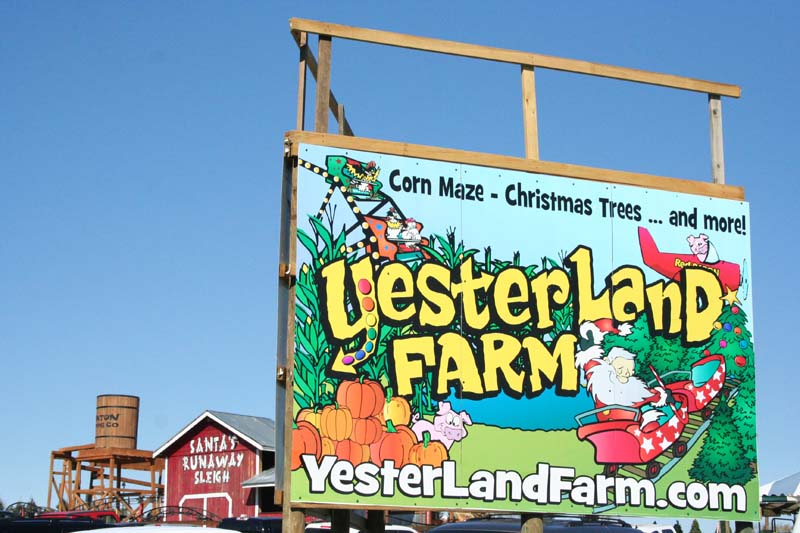photo tr canton christmas tree farm theme park review photo tr canton christmas tree farm theme park review