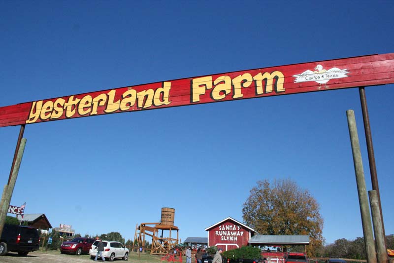 photo tr canton christmas tree farm theme park review photo tr canton christmas tree farm theme park review