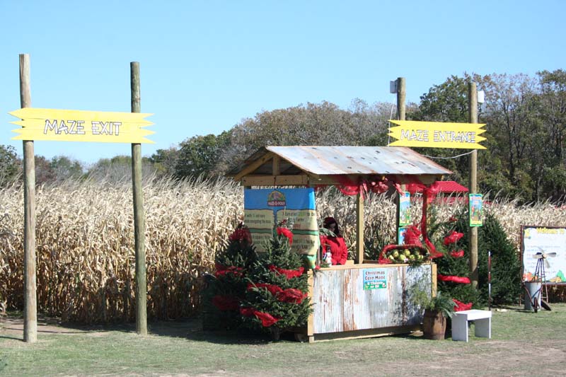 photo tr canton christmas tree farm theme park review photo tr canton christmas tree farm theme park review