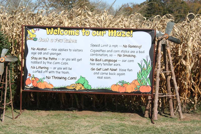 photo tr canton christmas tree farm theme park review photo tr canton christmas tree farm theme park review