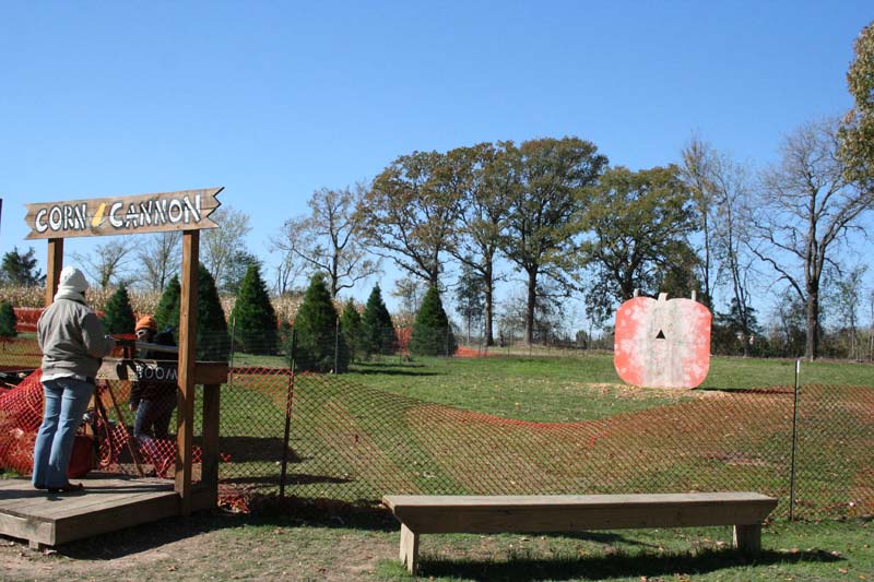 photo tr canton christmas tree farm theme park review photo tr canton christmas tree farm theme park review