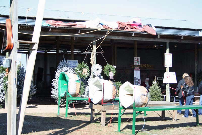 photo tr canton christmas tree farm theme park review photo tr canton christmas tree farm theme park review