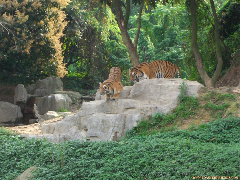 CIMG0842.jpg