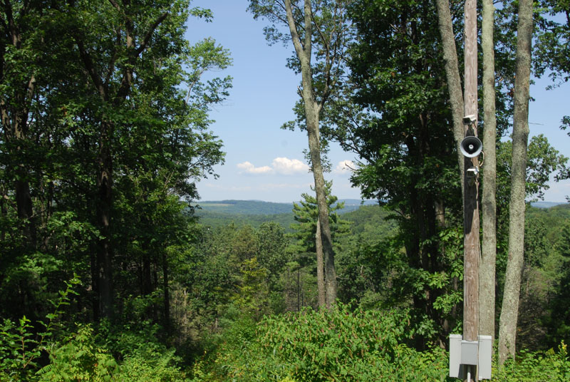 CYW_0305.JPG