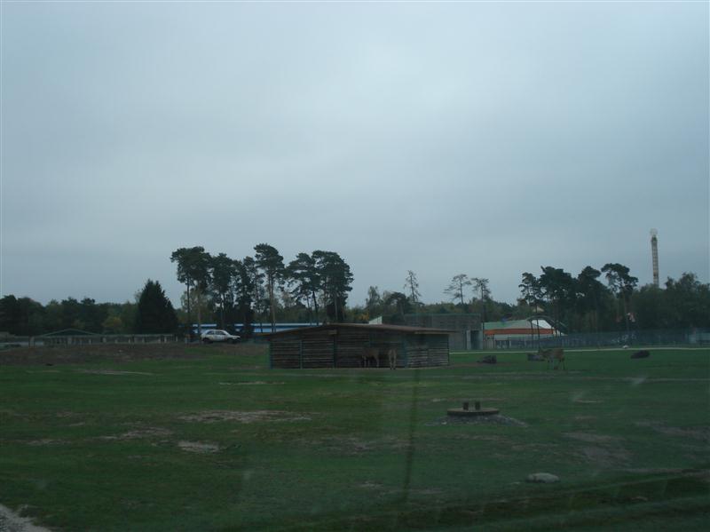 DSC00607 (Medium).JPG