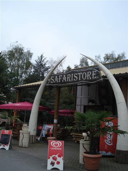 DSC00610 (Medium).JPG