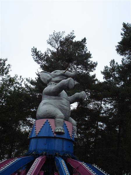 DSC00635 (Medium).JPG