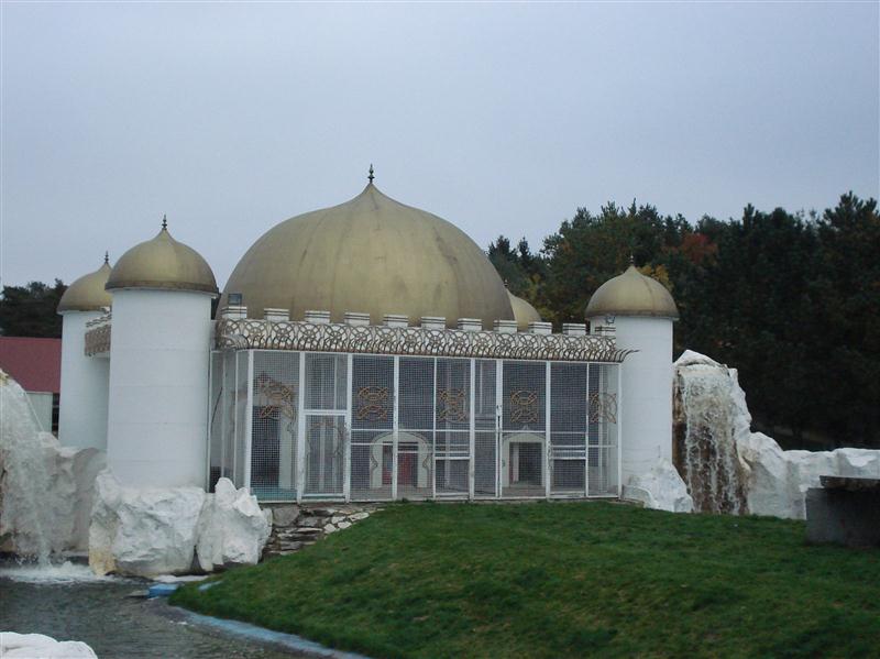 DSC00684 (Medium).JPG