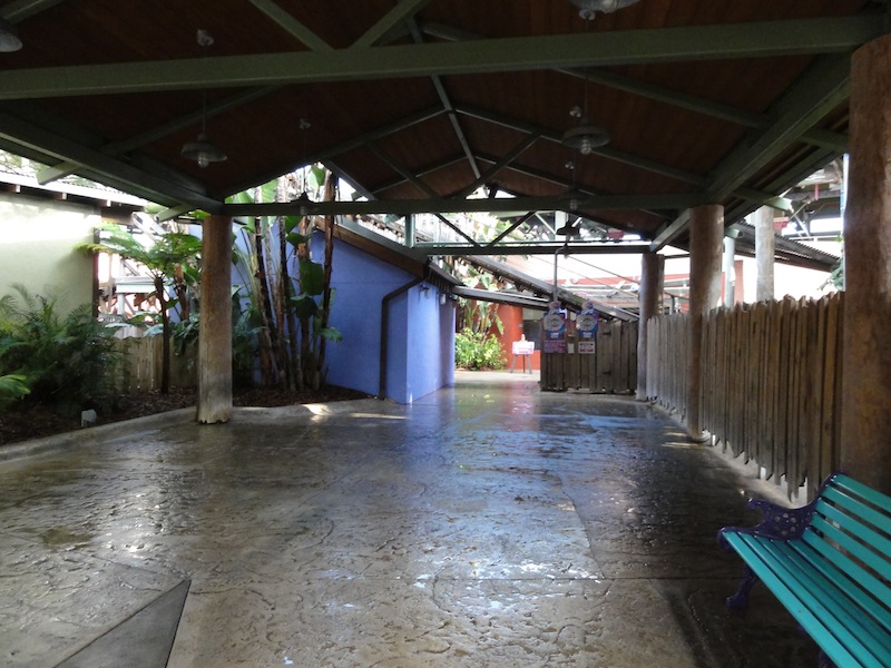 DSC00858.JPG
