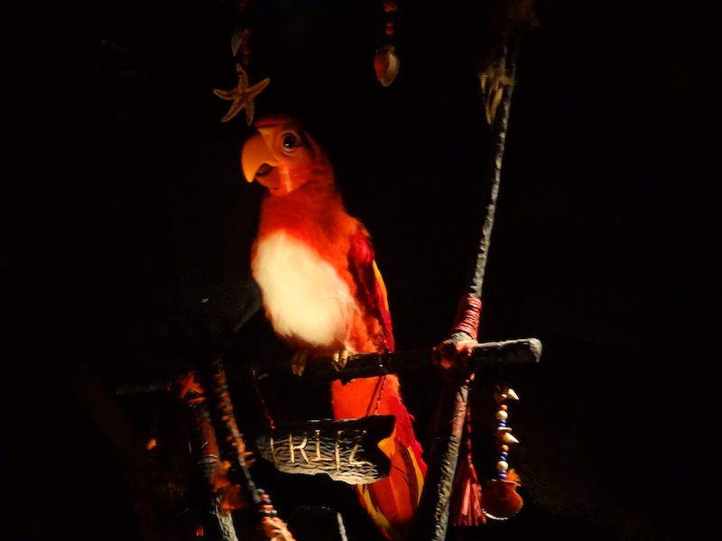 DSC01690.JPG