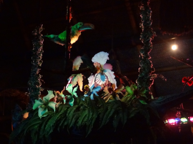 DSC01699.JPG