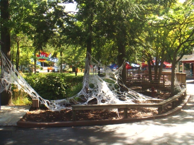 DSC02730.JPG