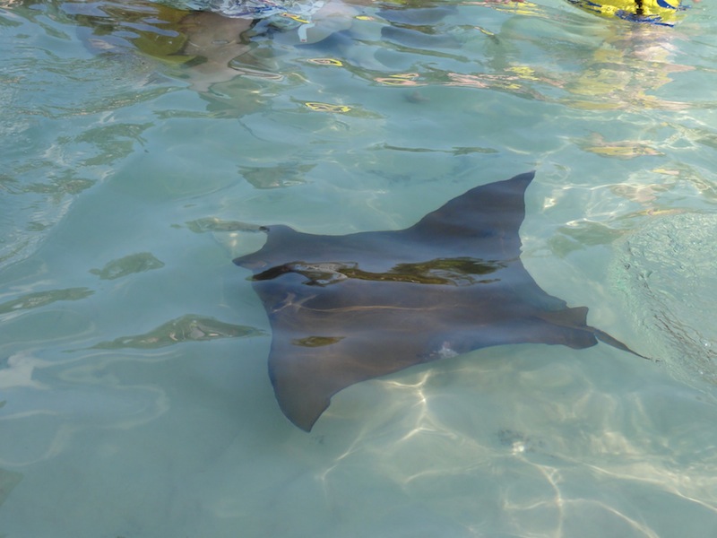 DSC07964.JPG